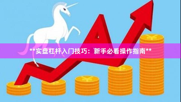 **实盘杠杆入门技巧：新手必看操作指南**