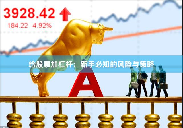 给股票加杠杆：新手必知的风险与策略
