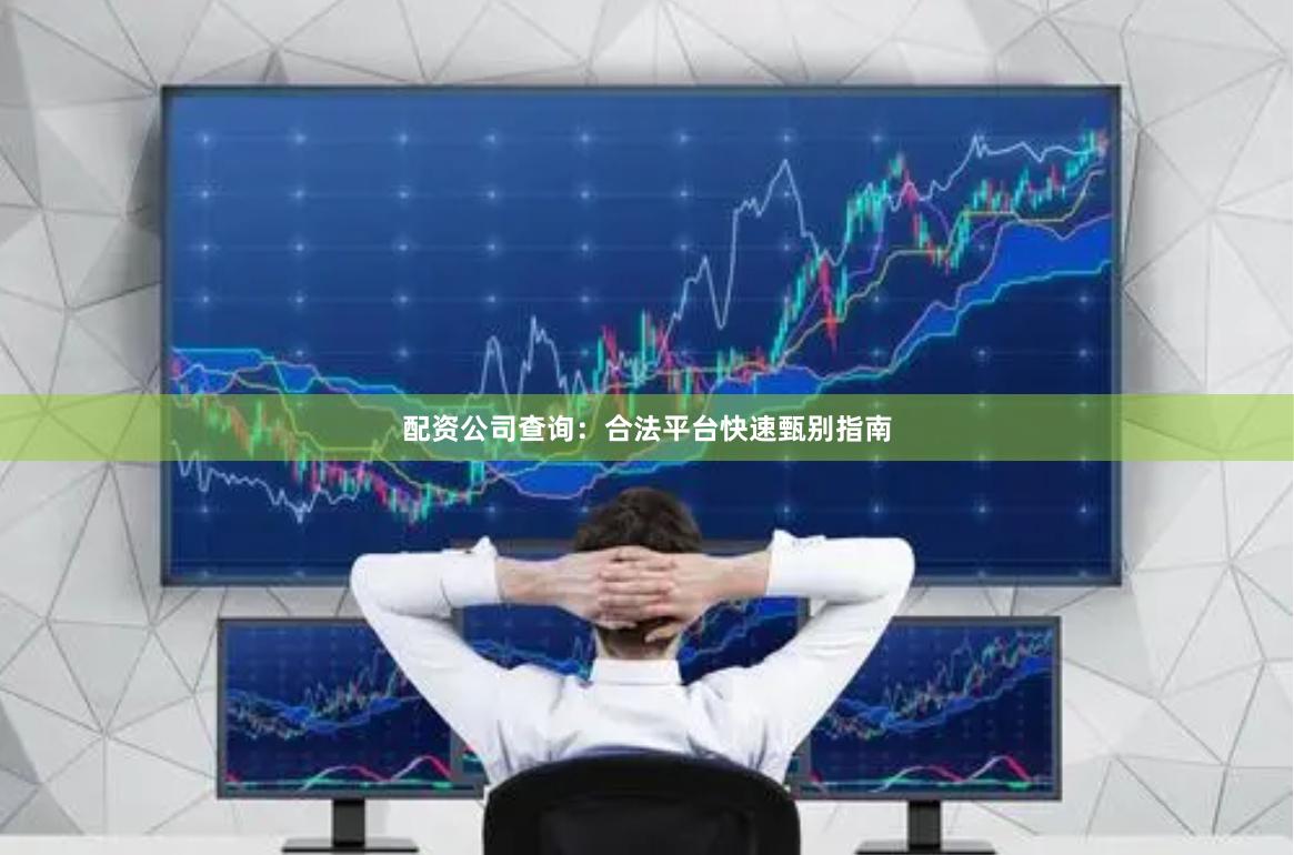 配资公司查询：合法平台快速甄别指南