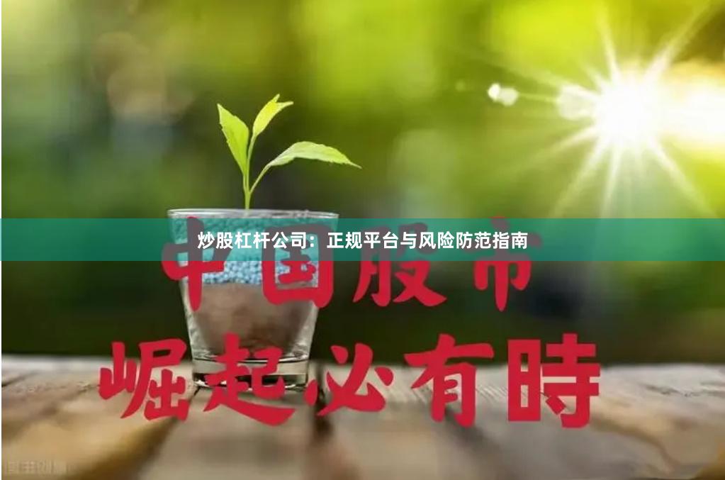 炒股杠杆公司：正规平台与风险防范指南